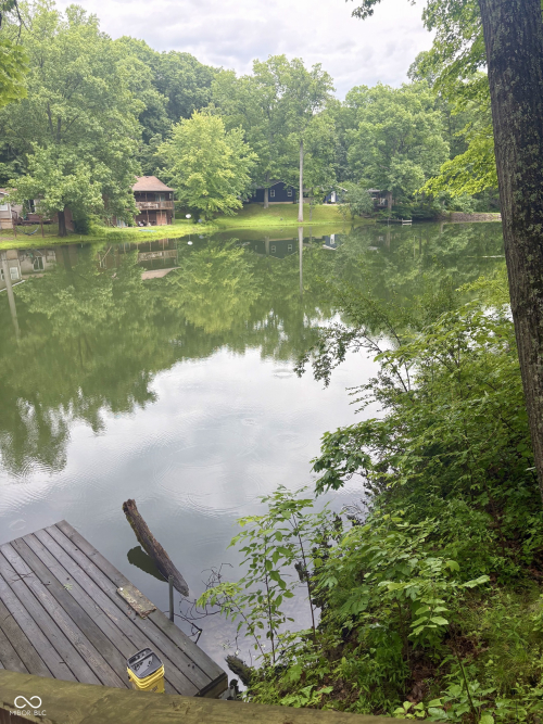 Listing Image 50