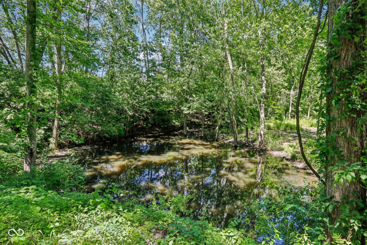 Listing Image 83