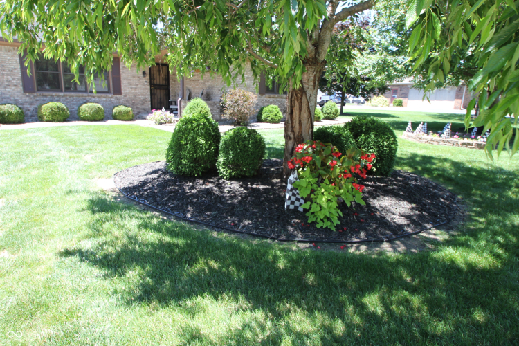 Listing Image 16