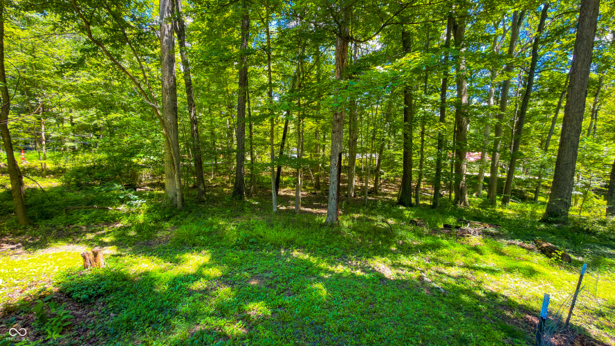 Listing Image 25