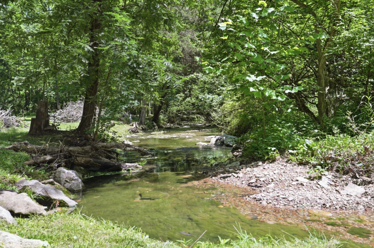 Listing Image 76