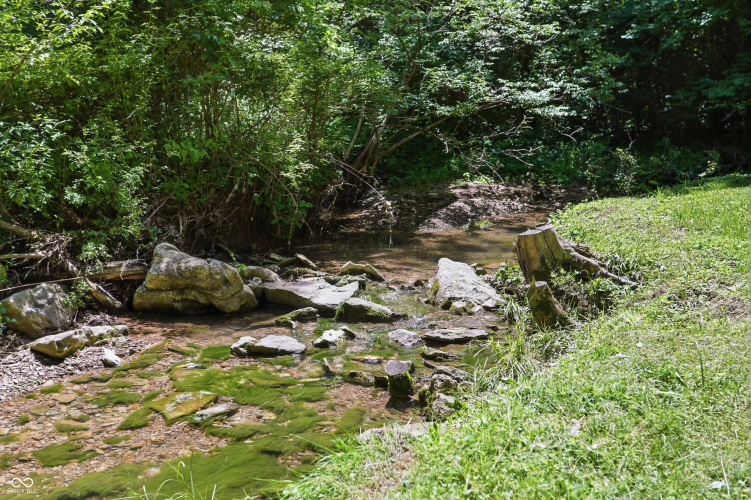 Listing Image 77