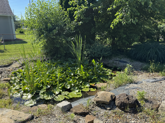 Listing Image 34