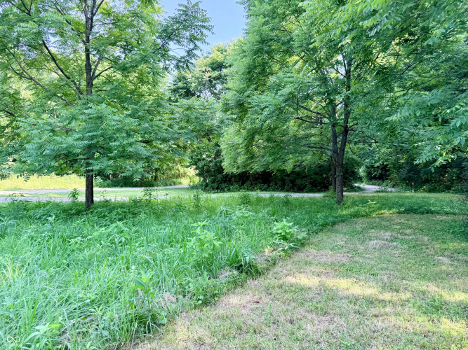 Listing Image 49