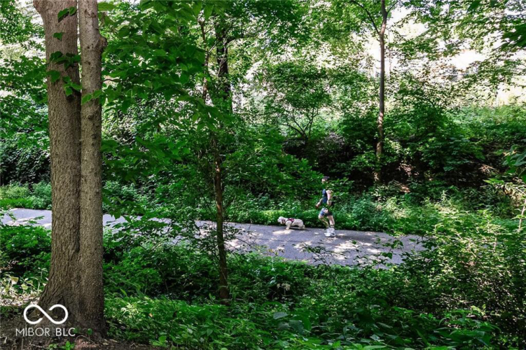 Listing Image 46