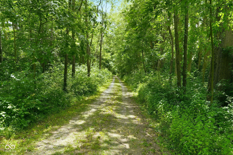 Listing Image 79