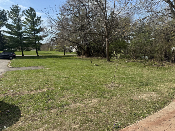 Listing Image 38