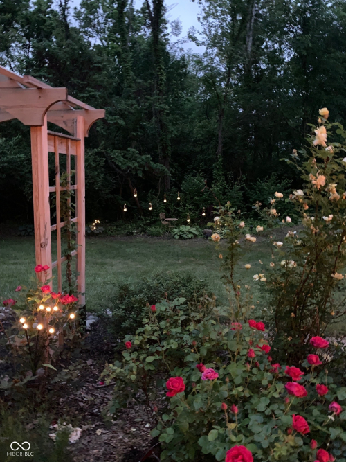 Listing Image 36