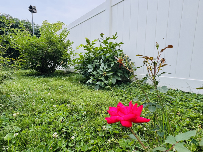 Listing Image 16