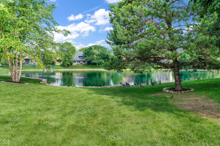 Listing Image 54