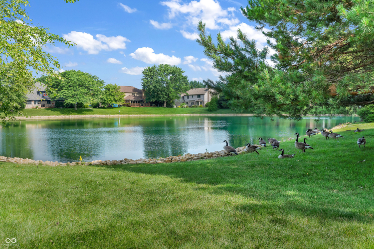 Listing Image 55
