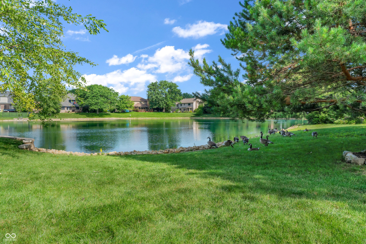 Listing Image 56