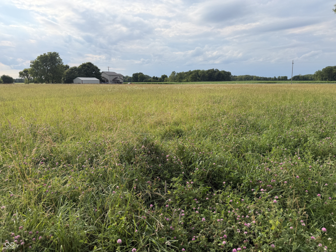 Listing Image 51