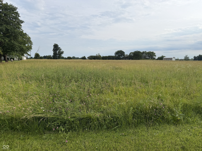 Listing Image 52