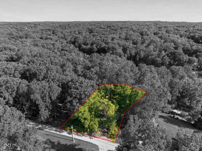 Listing Image 46