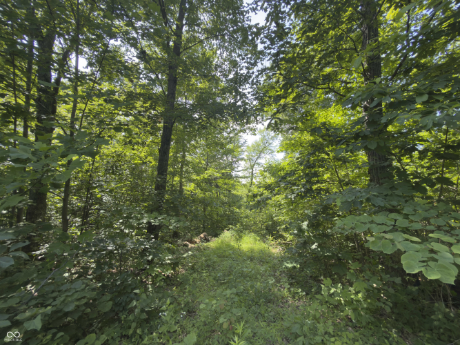 Listing Image 16