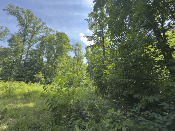 Listing Image 17