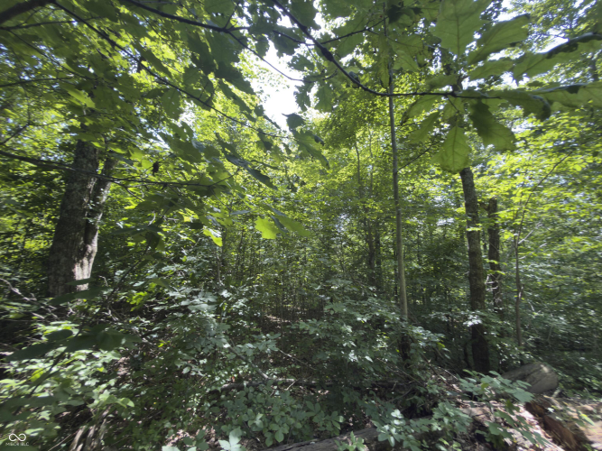 Listing Image 18