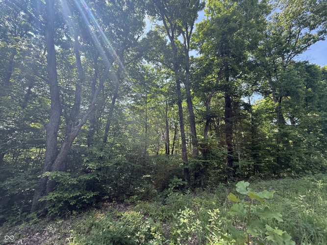 Listing Image 22