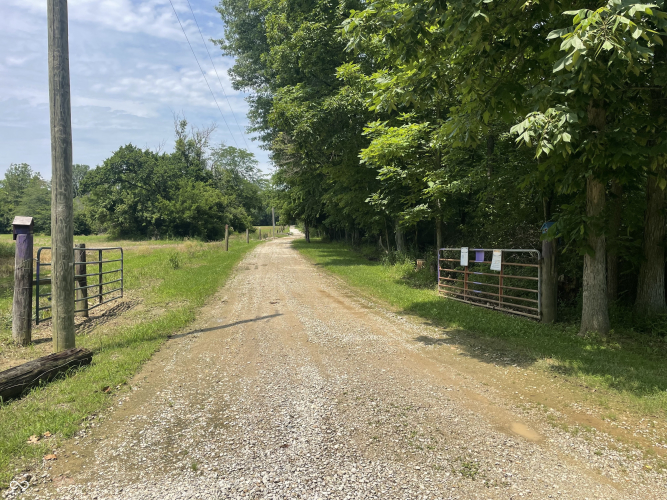 Listing Image 17