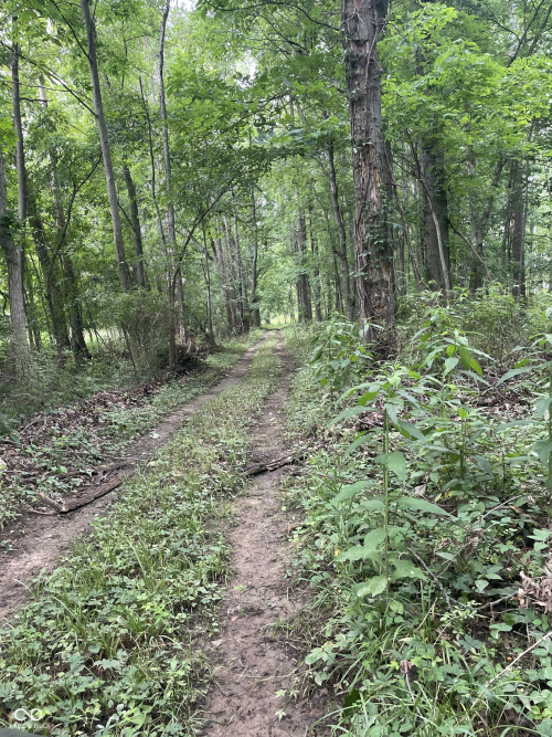 Listing Image 24