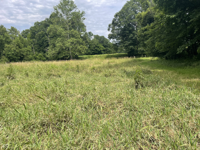 Listing Image 27