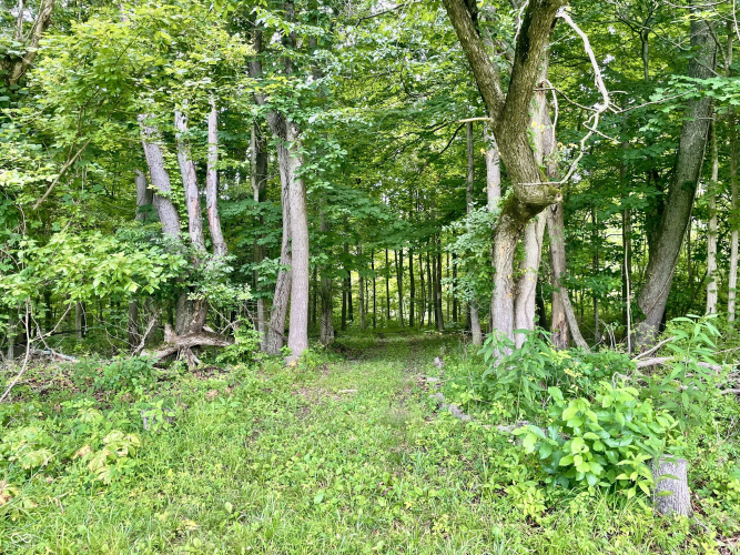 Listing Image 37