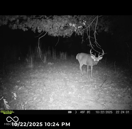 Listing Image 44