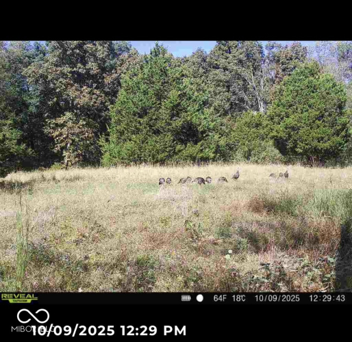 Listing Image 46
