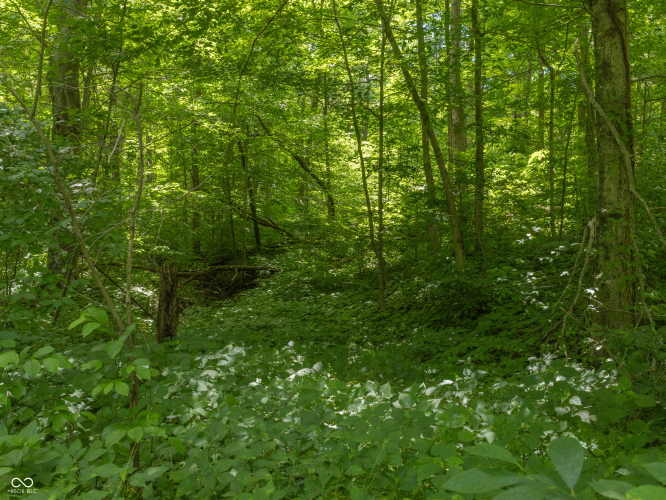 Listing Image 28
