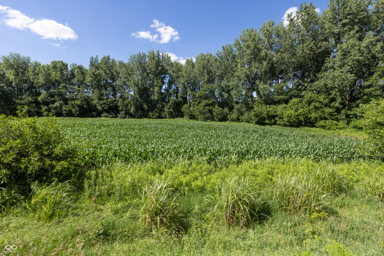 Listing Image 37