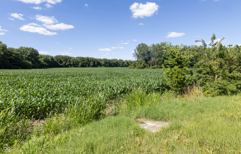 Listing Image 39