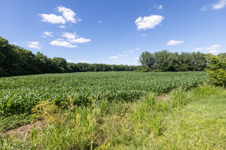Listing Image 41