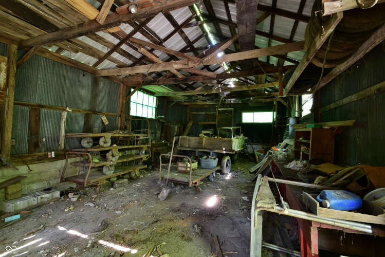 Listing Image 4