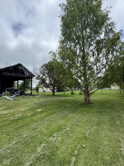 Listing Image 5