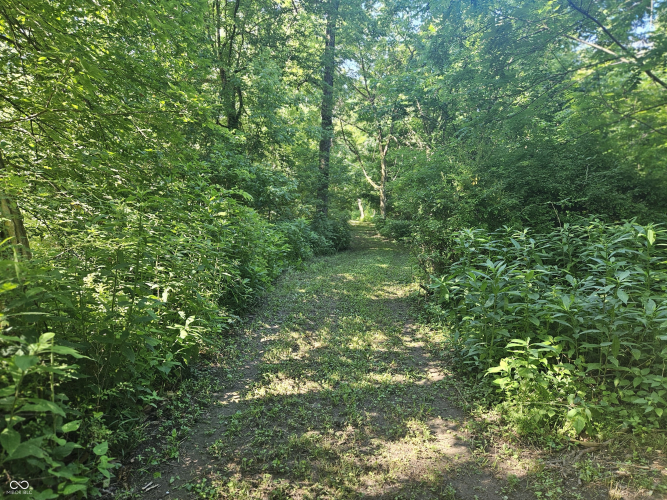 Listing Image 24