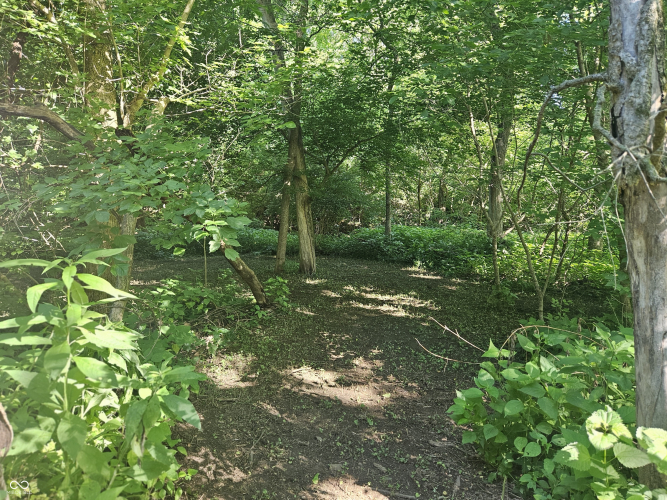 Listing Image 25
