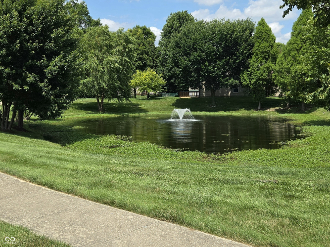 Listing Image 46