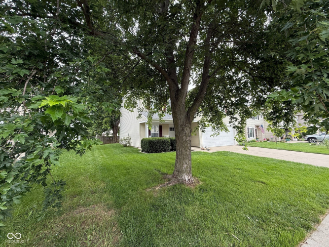 Listing Image 4