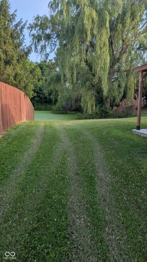 Listing Image 23