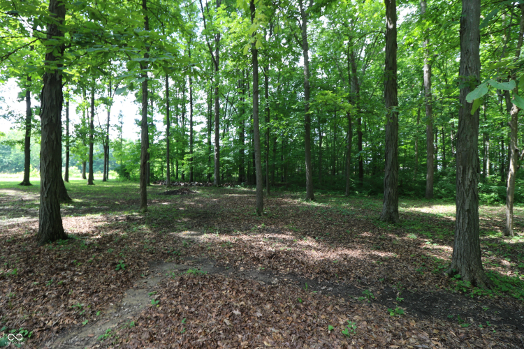 Listing Image 41