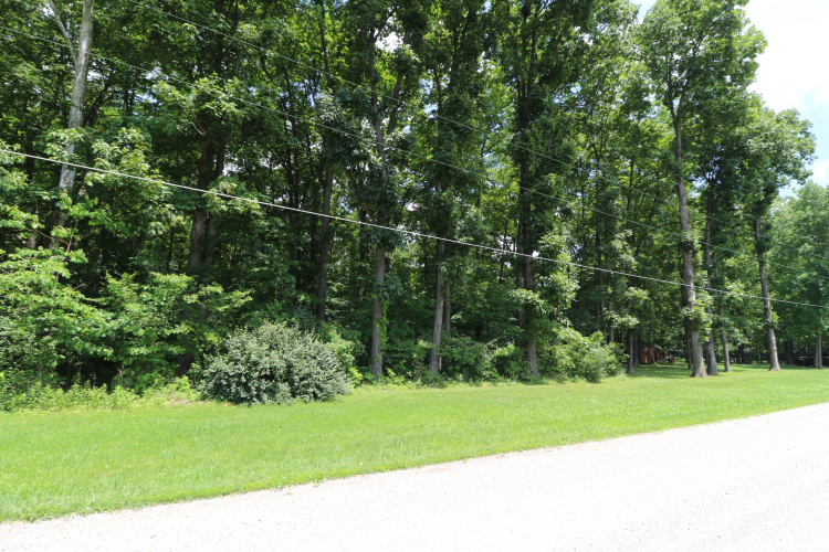 Listing Image 44