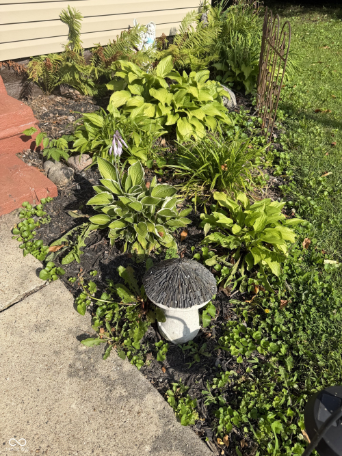 Listing Image 32