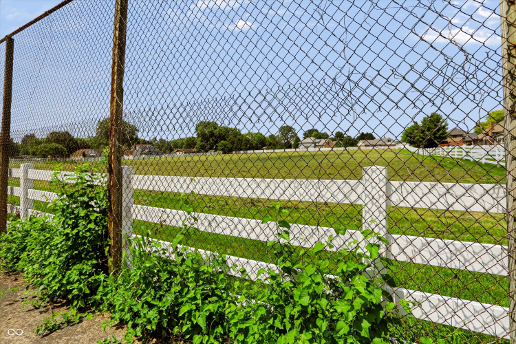 Listing Image 78