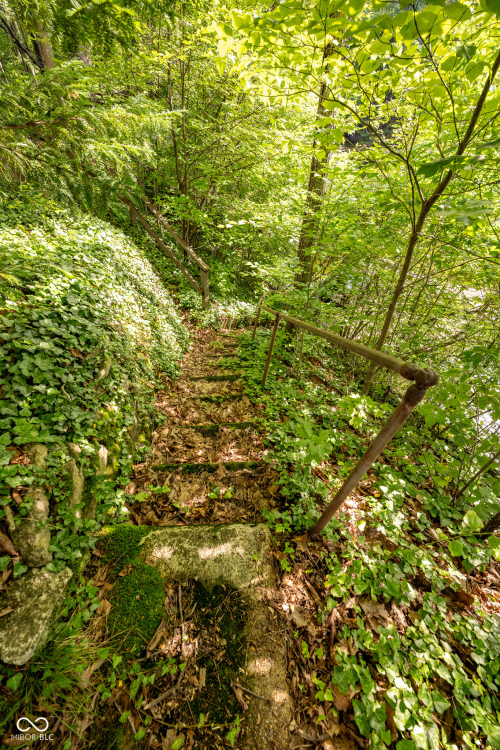 Listing Image 72