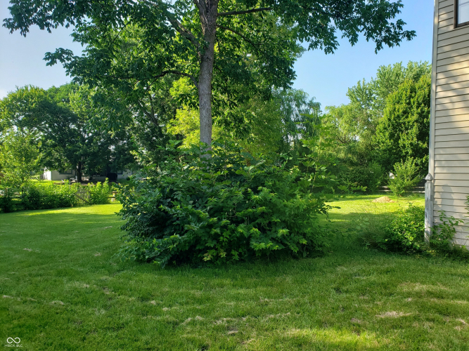 Listing Image 36
