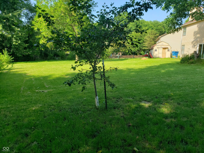 Listing Image 39