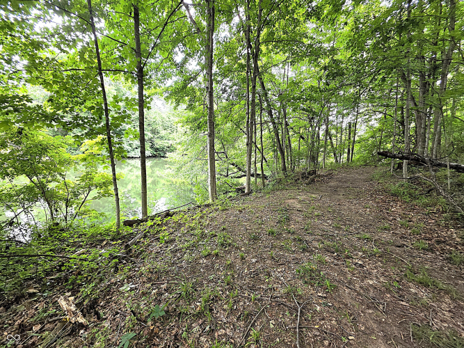 Listing Image 57