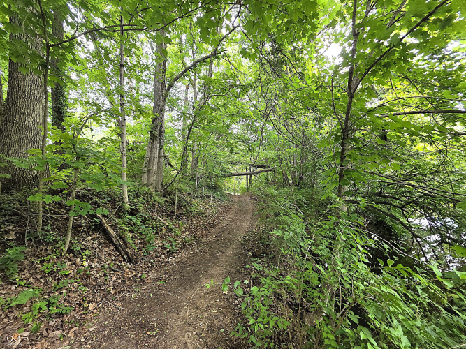 Listing Image 58