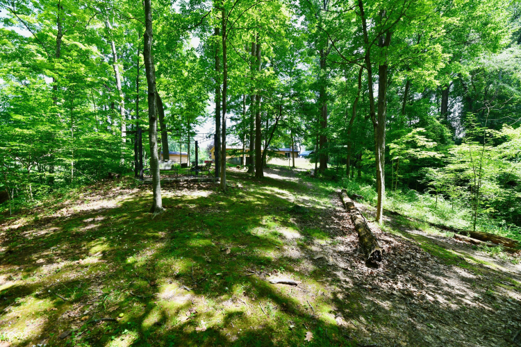 Listing Image 44